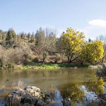 Pensjonat Cavalo De Xisto - Turismo Rural, Lda. Almaceda Zewnętrze zdjęcie
