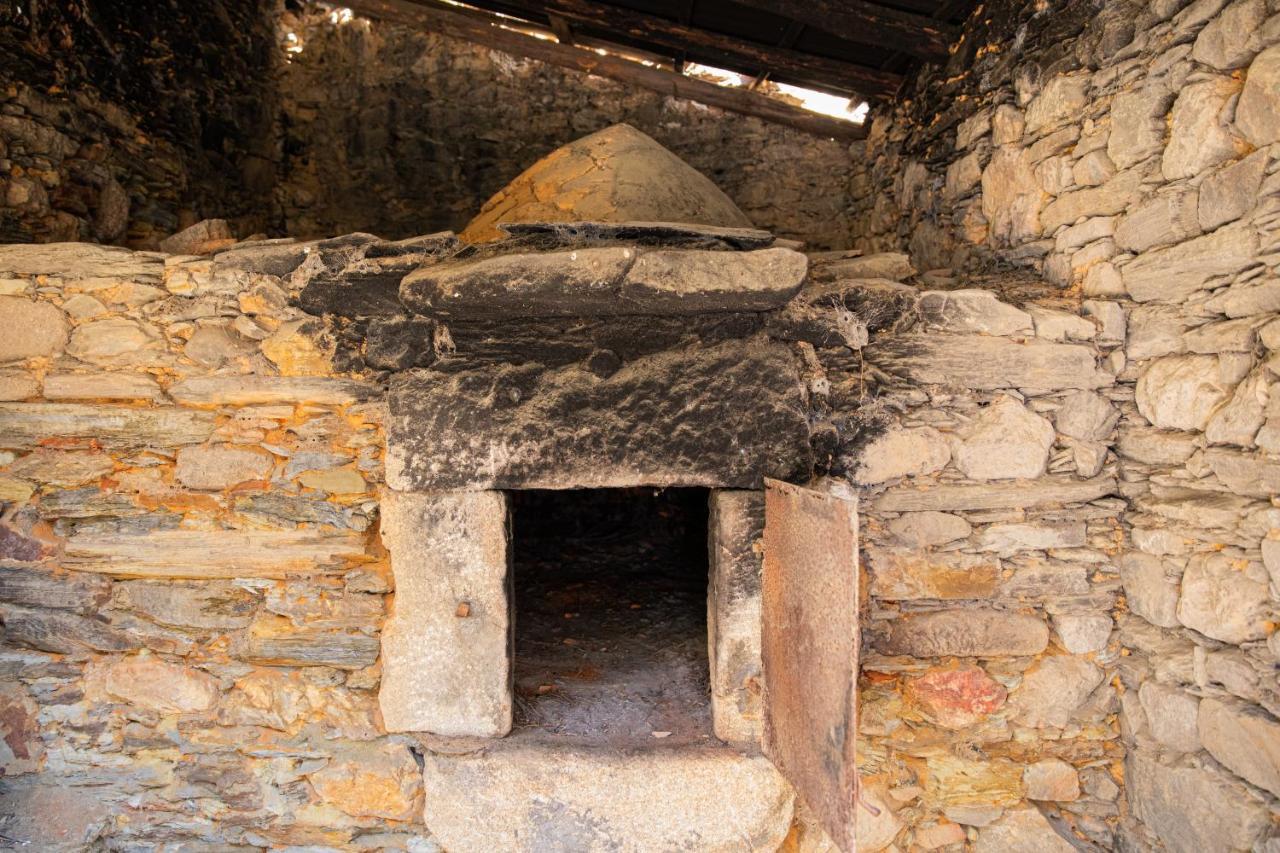Pensjonat Cavalo De Xisto - Turismo Rural, Lda. Almaceda Zewnętrze zdjęcie