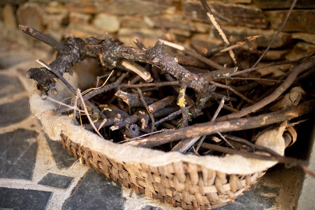 Pensjonat Cavalo De Xisto - Turismo Rural, Lda. Almaceda Zewnętrze zdjęcie