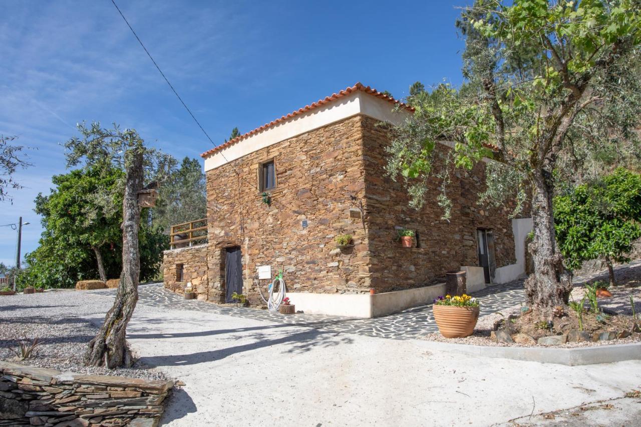 Pensjonat Cavalo De Xisto - Turismo Rural, Lda. Almaceda Zewnętrze zdjęcie