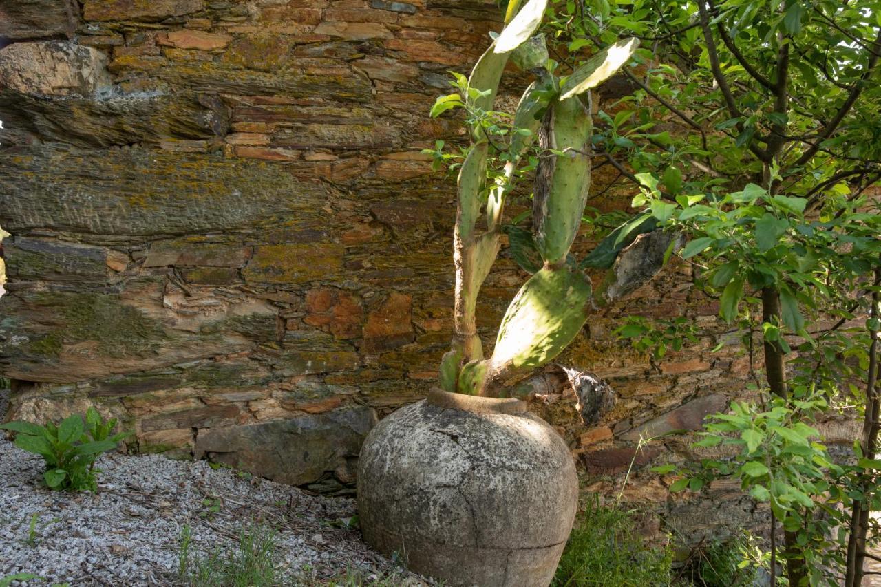 Pensjonat Cavalo De Xisto - Turismo Rural, Lda. Almaceda Zewnętrze zdjęcie